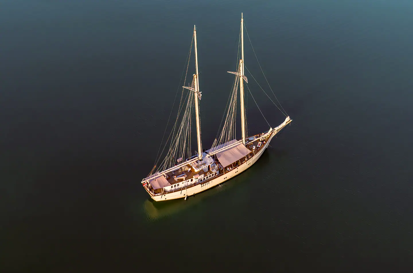 1-b-3-ee-4599-ffa-58-ea-96-e-64994-e-4-f-6-e-8-ac-8-b-3-e-269-d