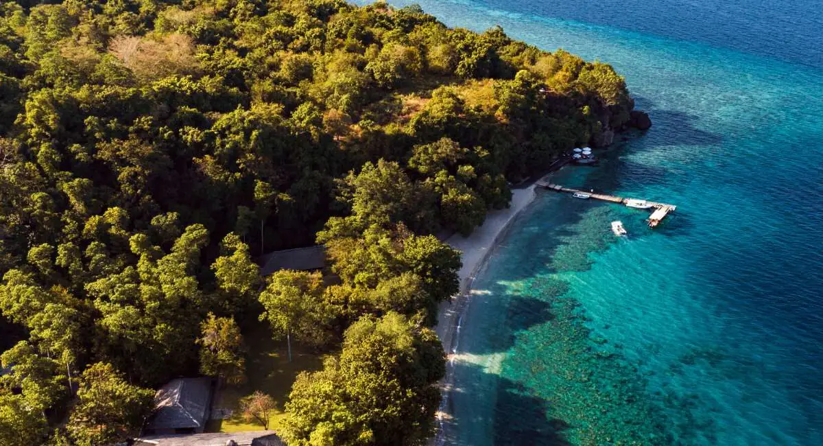 komodo-dragon-aman-1200-x-651