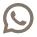 icon whatsapp