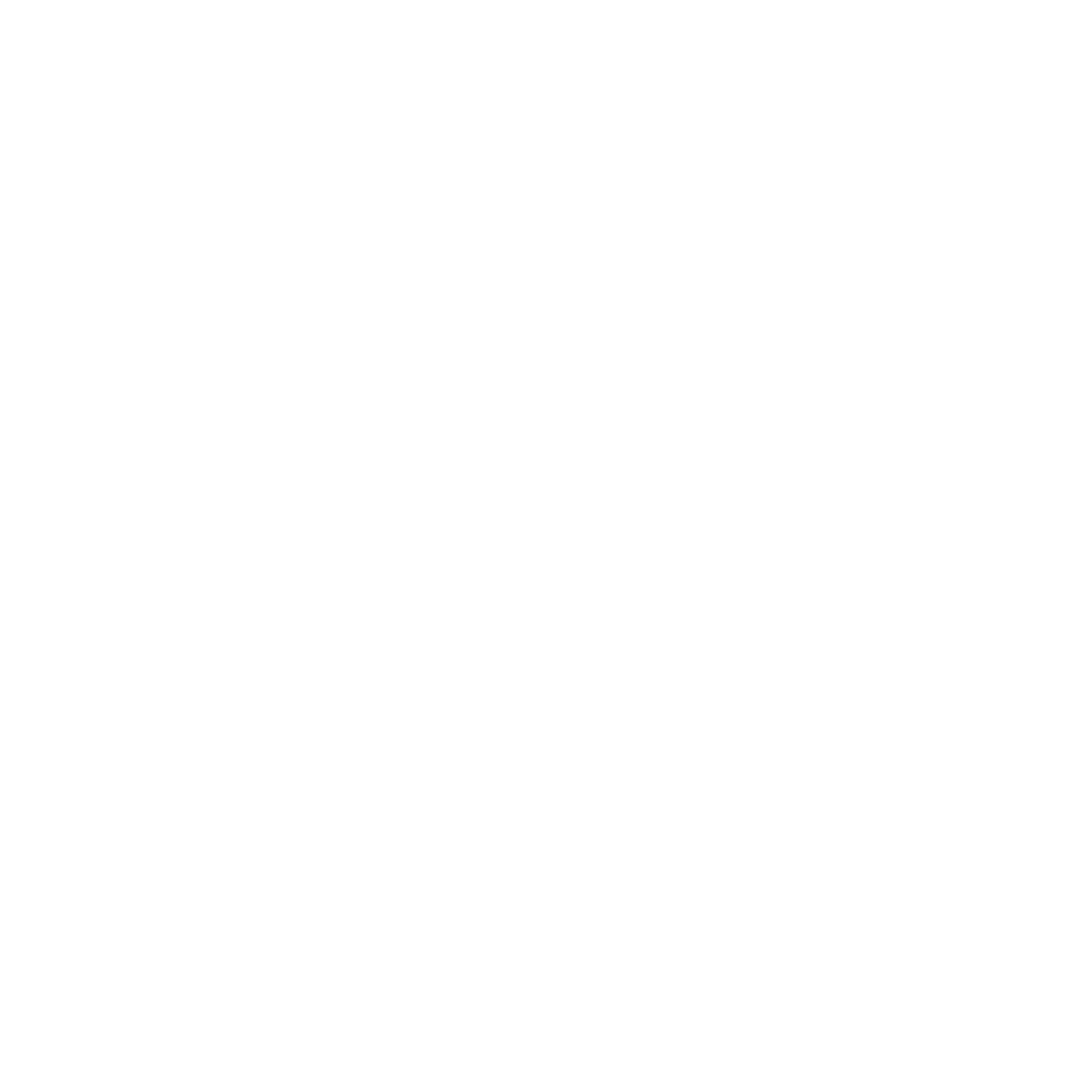 Icon - Instagram white
