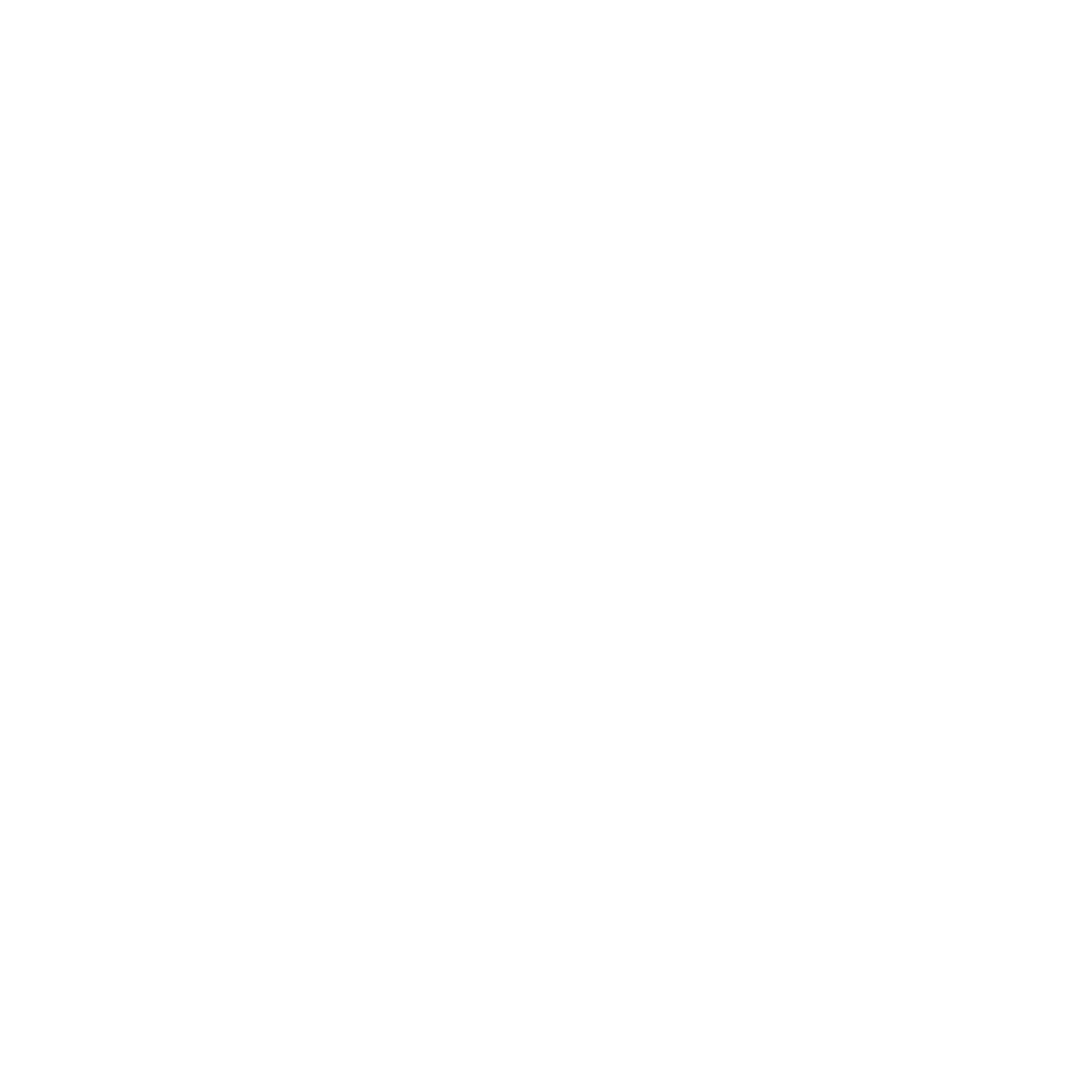 Icon - Whatsapp white